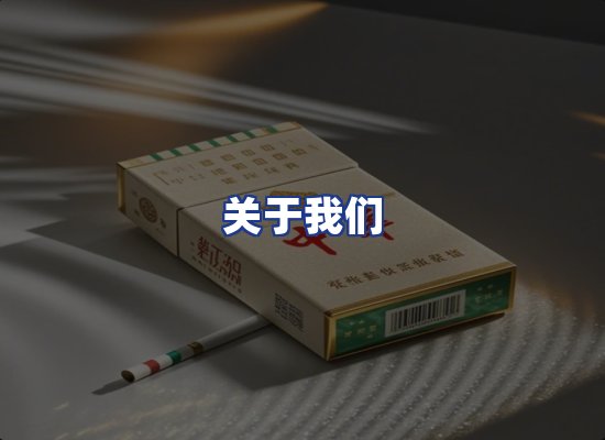 专业团队